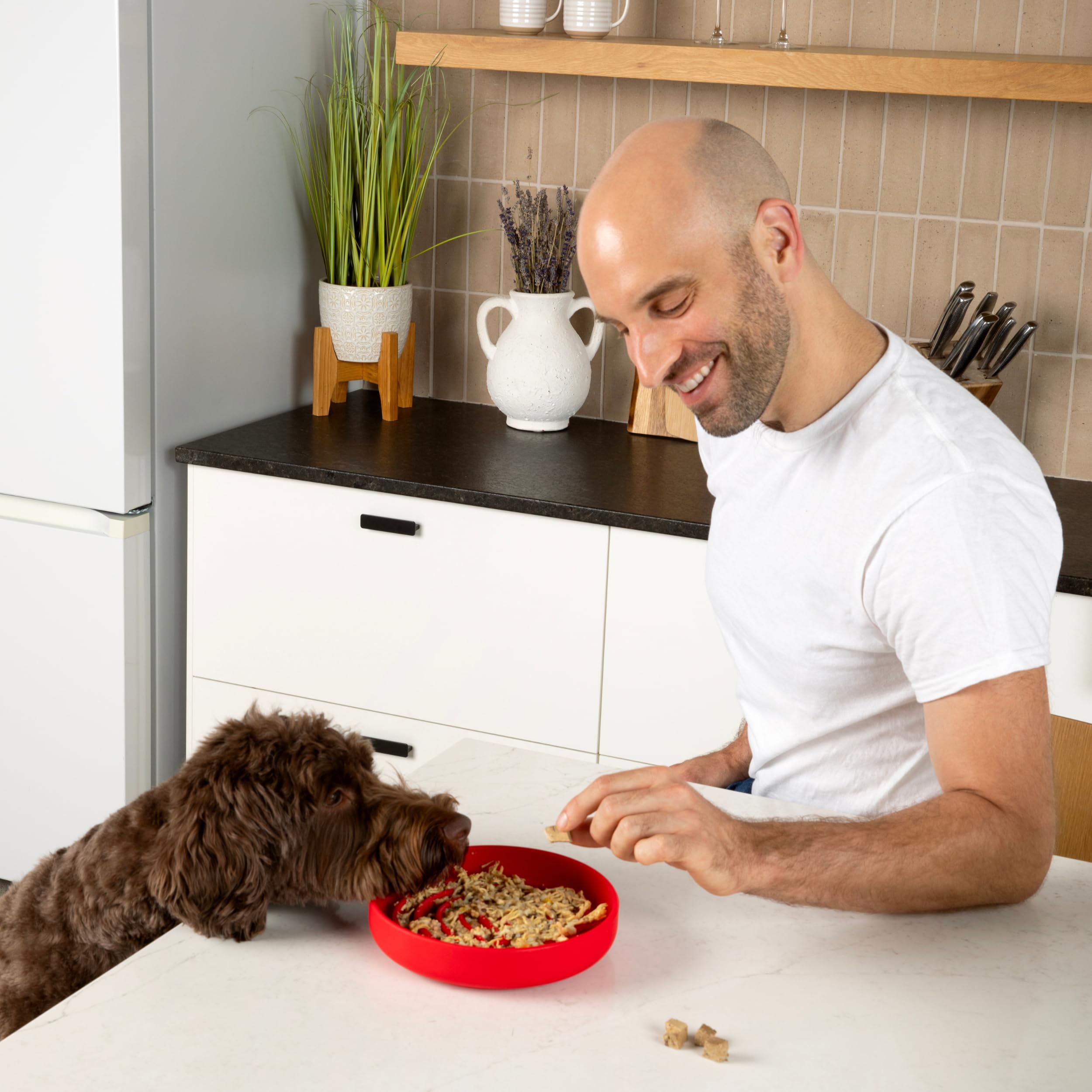 Should We Go? Slow Feeder Dog Bowls - Medium Size Silicone Slow Eating Dog Bowl for Puppies & Dogs with Suction Cup -Dishwasher-Safe, Lick Mat Design, Reduces Gulping,for All Breeds,7.5”x1.5”- Cherry