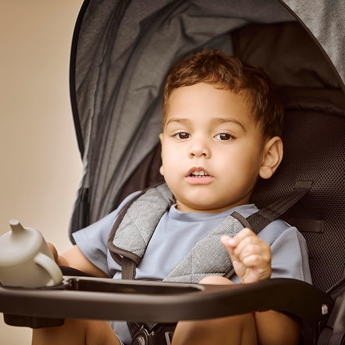 Evolur Breeze Stroller in Grey, Adjustable Backrest & Canopy, Compact Fold Lightweight Baby/Toddler Stroller with Storage Basket