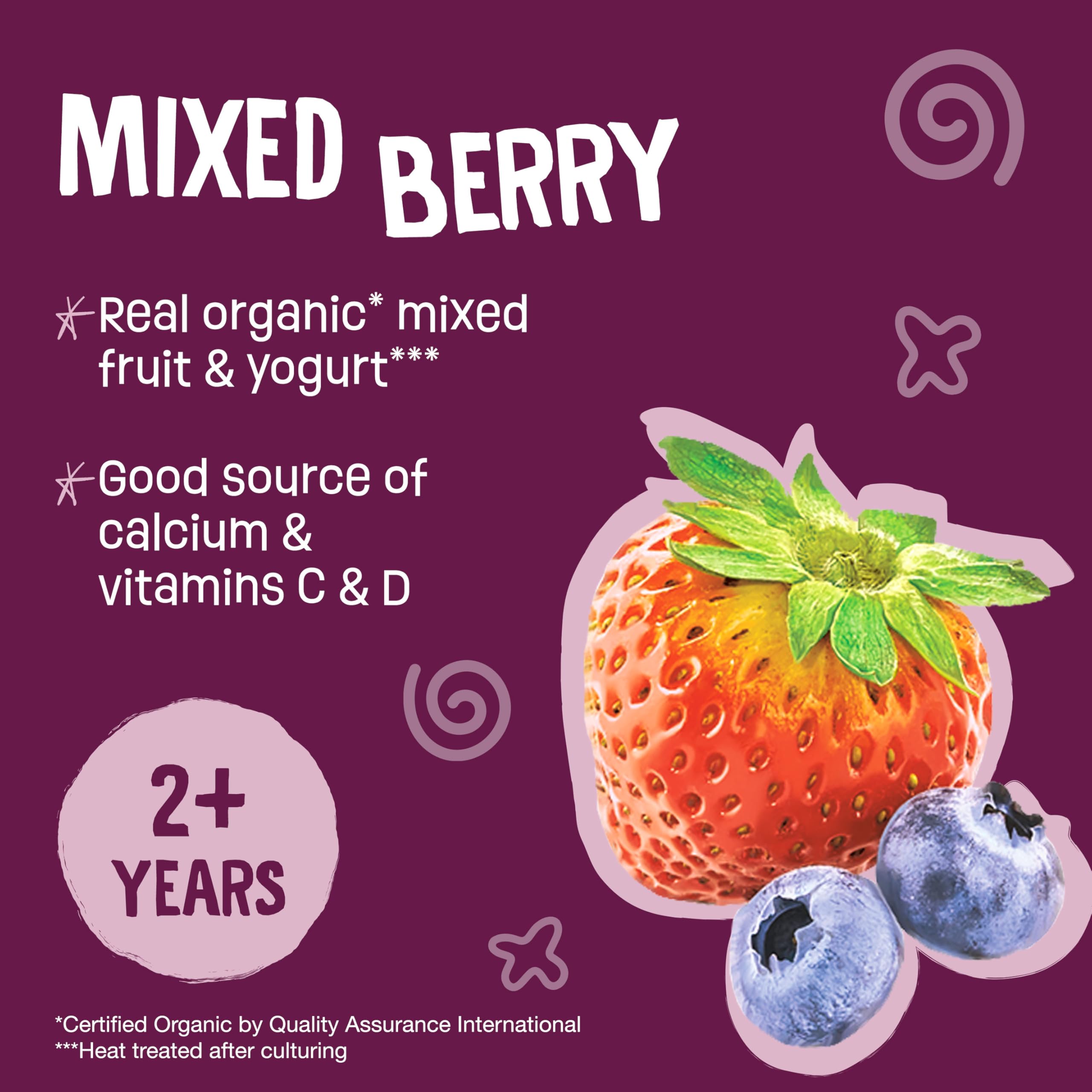 Earth's Best Organic Yogurt Smoothie Pouches, 24+ Months, Fruit and Yogurt Smoothie for Kids, Mixed Berry, 4.2 Ounce Resealable Pouch (Pack of 12)