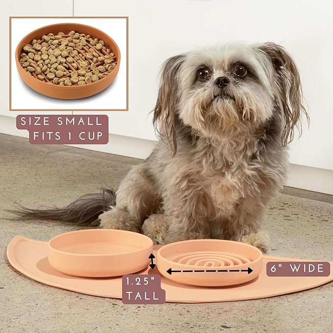 Should We Go? Slow Feeder for Dogs & Cats, The Slowdown Bowl Silicone Slow Eating Mealtime Solution with Modern Lick Mat Design, Reduces Gulping, Fits 1 Cup, 6” Across x 1.25” Tall, Small-Blush