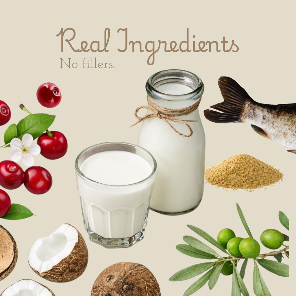 Designed by Nature- Whole Goat Milk Formula 12oz/340g, 12+ Months — Made in USA, Easy to Digest with Cod Liver Oil DHA, Hydrolyzed Collagen & Real Whole-Food Ingredients, Non-GMO, Soy & Gluten Free