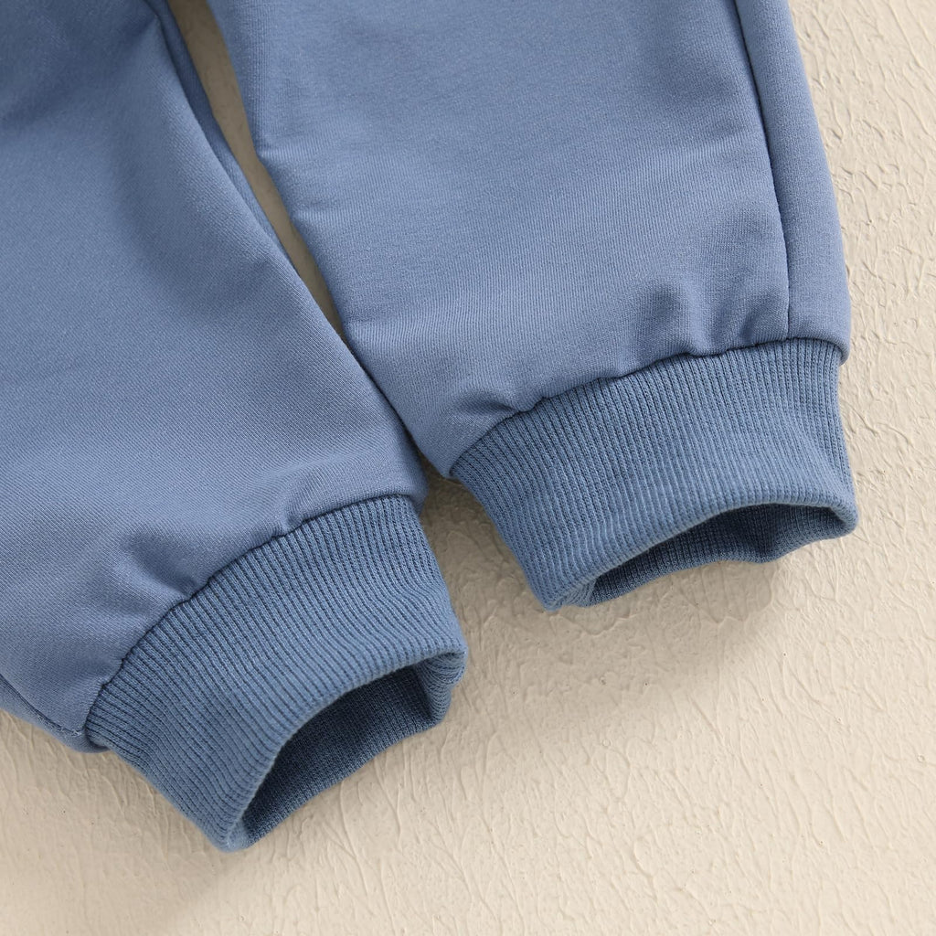 Lucikamy Toddler Baby Boy Fall Outfits Long Sleeve Crew Neck Pullover Sweatshirt + Jogger Pants Set Infant Winter Clothes (Blue-P, 6-12 Months)
