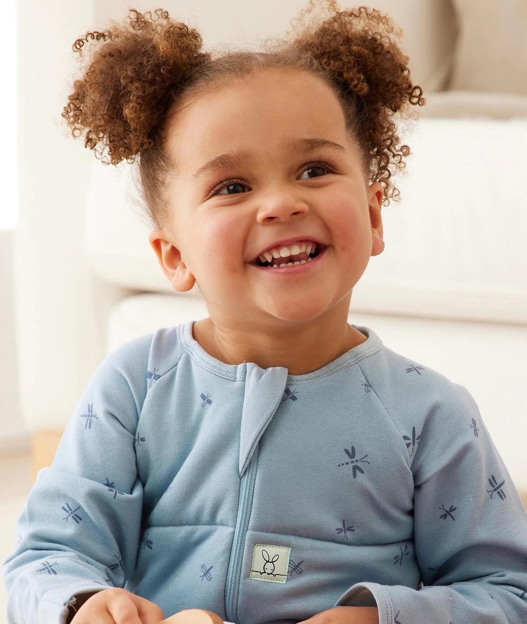 ergoPouch Sleep Onesie 2.5 TOG – Warm Baby Romper & Sleep Layer with Full-Zip, Guarding Against Blankets, Breathable & Movement-Friendly, Ideal for Transitional Sleeping (12-24 Months, Dragonflies)