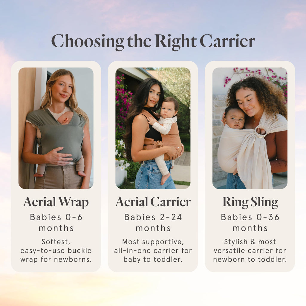 WildBird - Aerial Buckle Carrier - 2-24 Months - Standard (XS-XL) Acadian - Front or Back Carry - Cross Straps, Lumbar Support, Headrest - Hip Healthy - Baby Carrier - Baby Essentials - New Mom Gifts