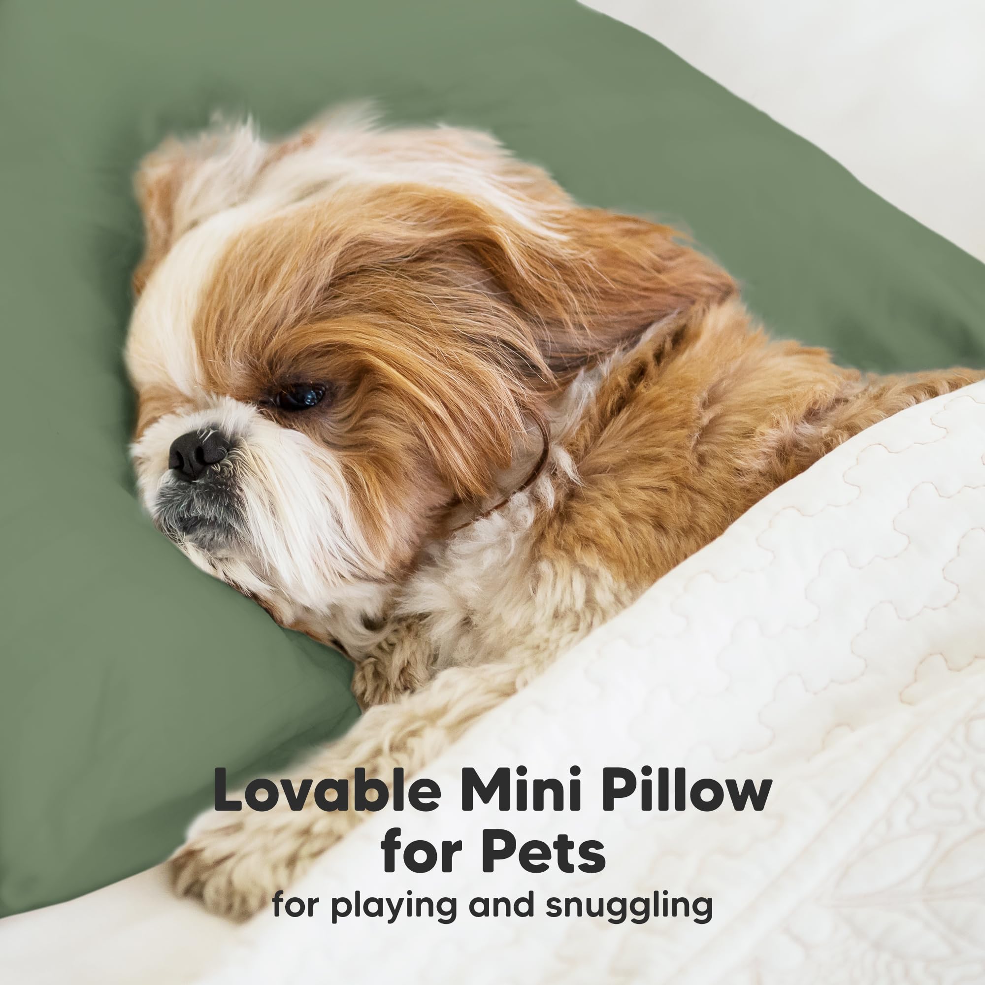 Mini Toddler Pillow with Pillowcase, 9x13 My Dreamy Pillow (Jungle Green)