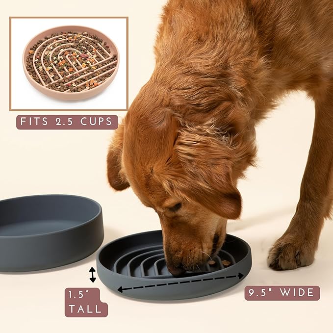 Should We Go? Slow Feeder for Dogs & Puppies, The Slowdown Bowl Silicone Slow Eating, Modern Lick Mat Design, Reduces Gulping, Fits 2.5 Cups, 9.5” Across x 1.5” Tall, Mealtime Challenge, Large-Sage