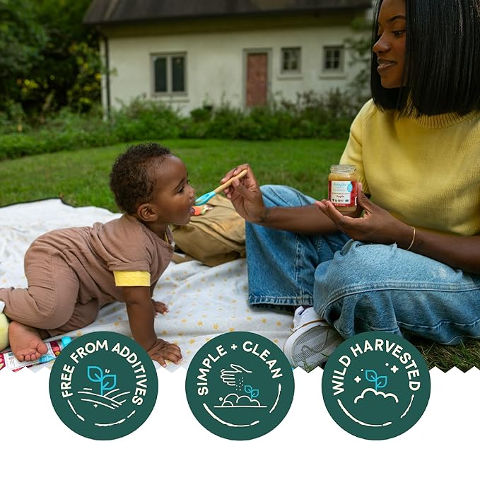Babylife Organics Stage 1 - Apple, 3.2 Ounce Jar (1 Pack) - Heavy Metal Safe, Organic Baby Food