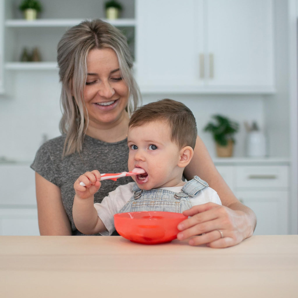 Dr. Brown's Soft-Tip Toddler Feeding Spoons, 24 Pack, Multi