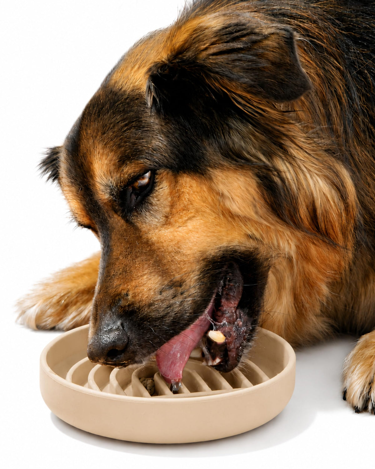 Slow Feeder Dog Bowl - Silicone Dog Bowl, Medium, 7.5" x 1.5" - Sage