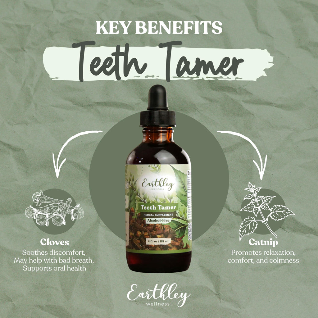 Earthley Wellness Teeth Tamer, Teething Relief for Babies & Kids, Organic Herbal Formula, 3 Month Supply (1.69 oz Glass,1,000 Drops)