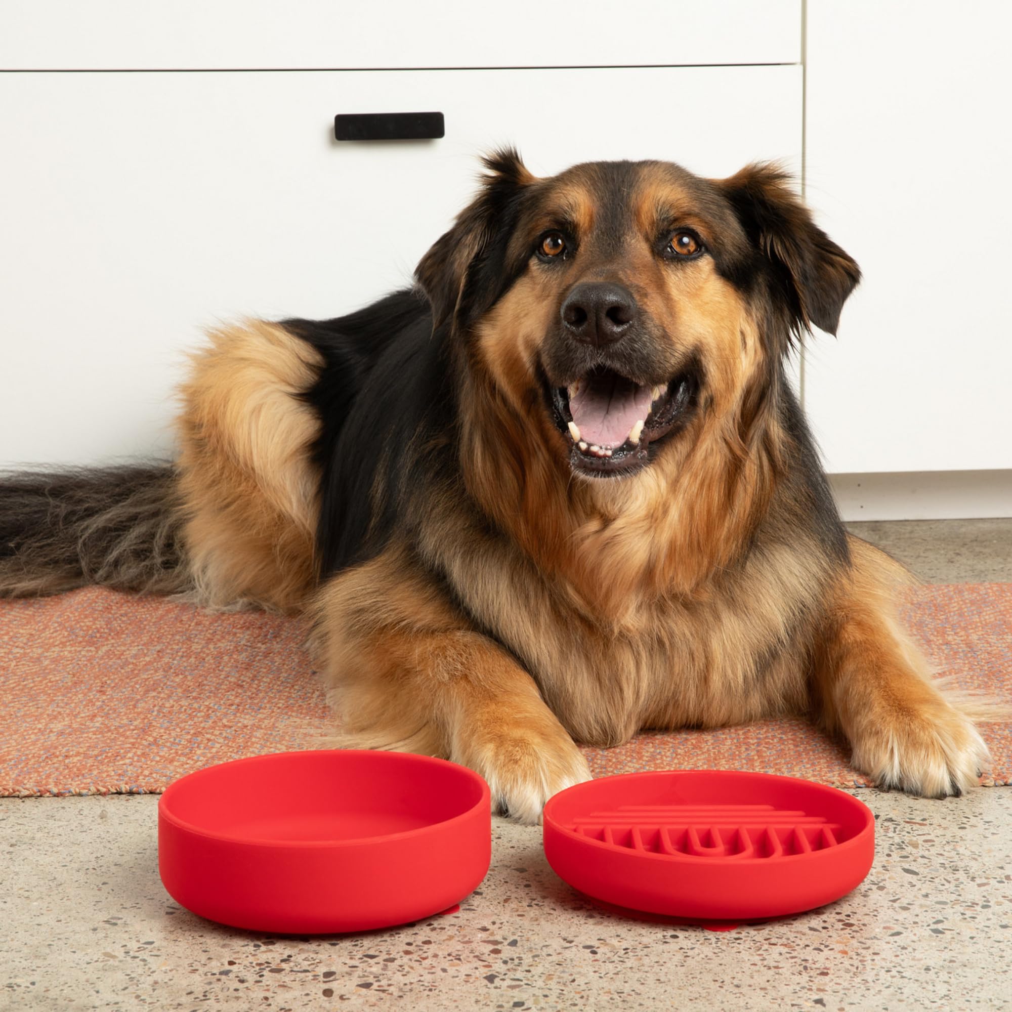Should We Go? Slow Feeder Dog Bowls - Medium Size Silicone Slow Eating Dog Bowl for Puppies & Dogs with Suction Cup -Dishwasher-Safe, Lick Mat Design, Reduces Gulping,for All Breeds,7.5”x1.5”- Cherry