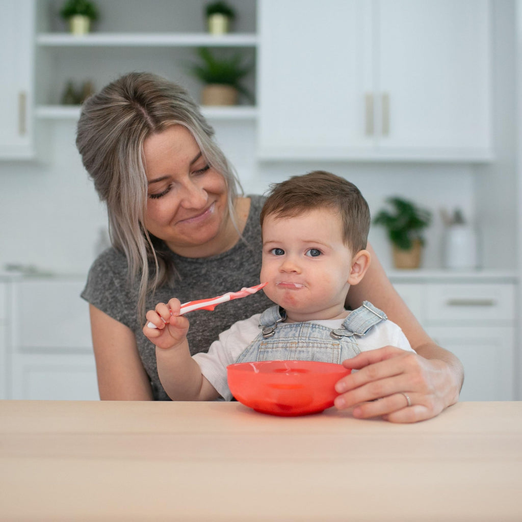 Dr. Brown's Soft-Tip Toddler Feeding Spoons, 24 Pack, Multi