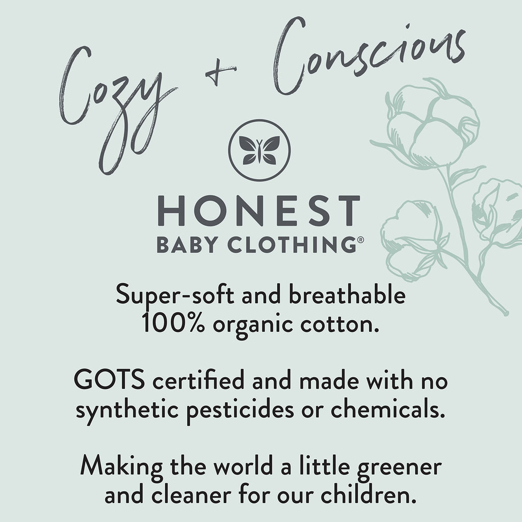 HonestBaby Baby Boys 4-Piece Long Sleeve PJ Set, Blue Plaid, 12 Months