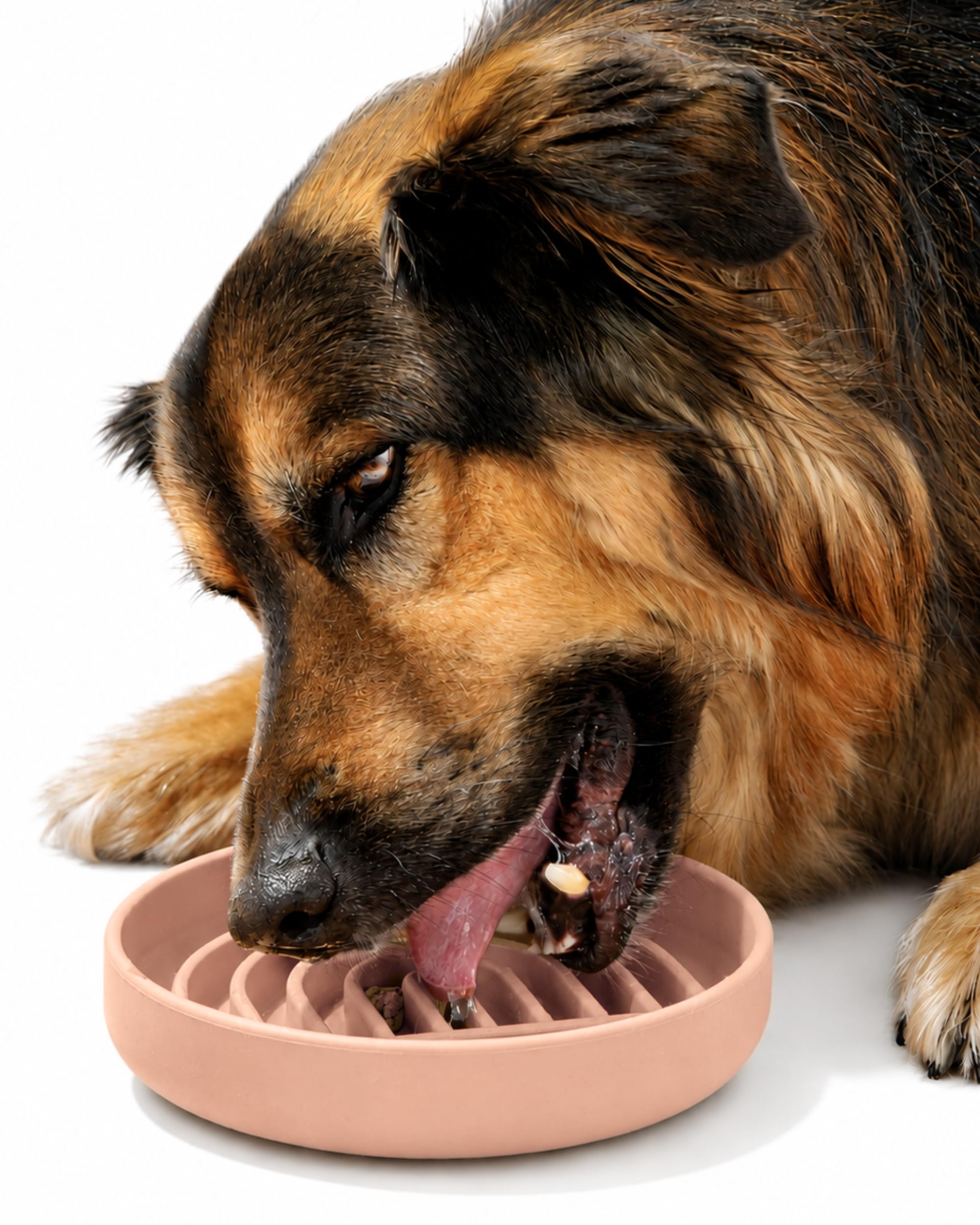 Should We Go? Slow Feeder Dog Bowls - Medium Size Silicone Slow Eating Dog Bowl for Puppies & Dogs with Suction Cup -Dishwasher-Safe, Lick Mat Design, Reduces Gulping,for All Breeds,7.5”x1.5”- Blush