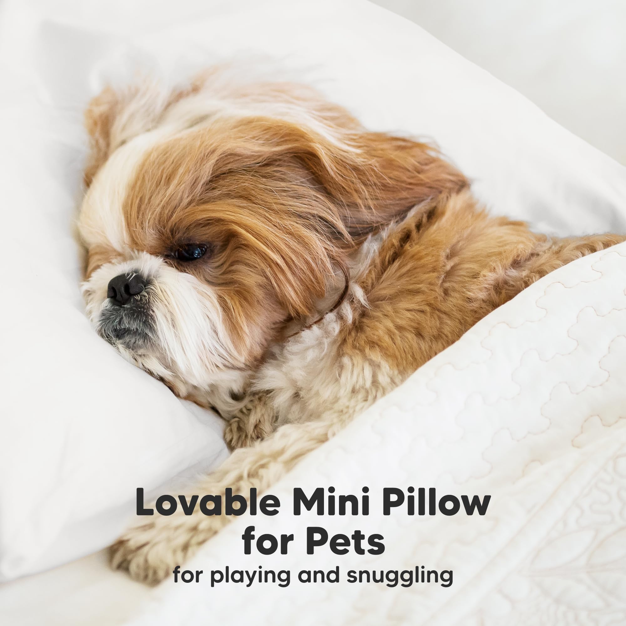 Mini Toddler Pillow with Pillowcase, 9x13 My Dreamy Pillow (Soft White)