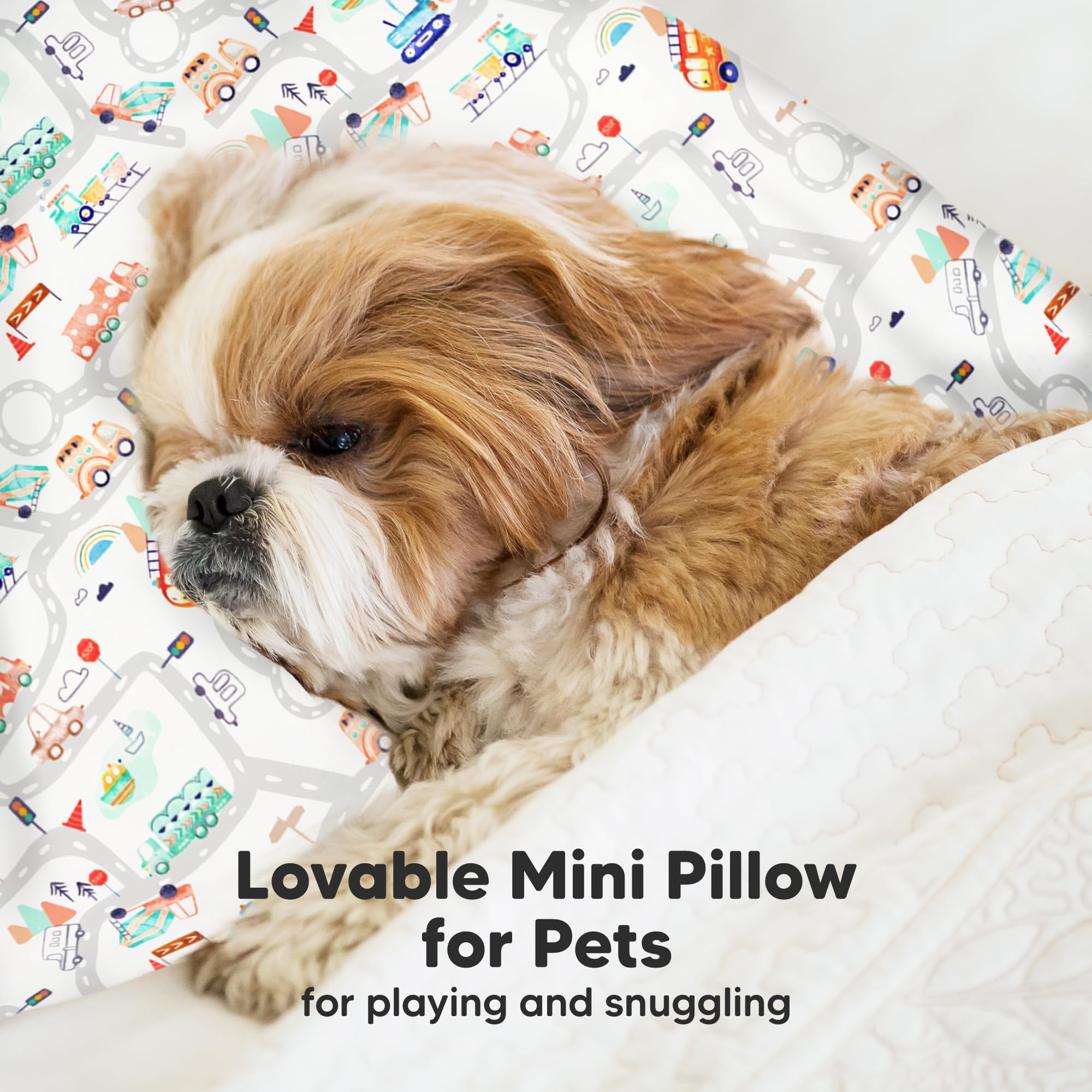 Mini Toddler Pillow with Pillowcase, 9x13 My Little Dreamy Pillow (Roadway)