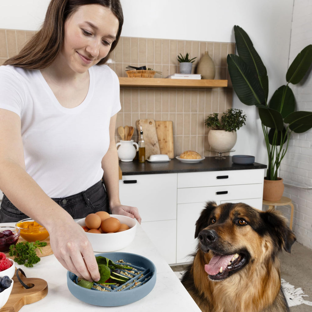 Should We Go? Slow Feeder Dog Bowls - Medium Size Silicone Slow Eating Dog Bowl for Puppies & Dogs with Suction Cup -Dishwasher-Safe, Lick Mat Design, Reduces Gulping,for All Breeds,7.5”x1.5”- Ocean