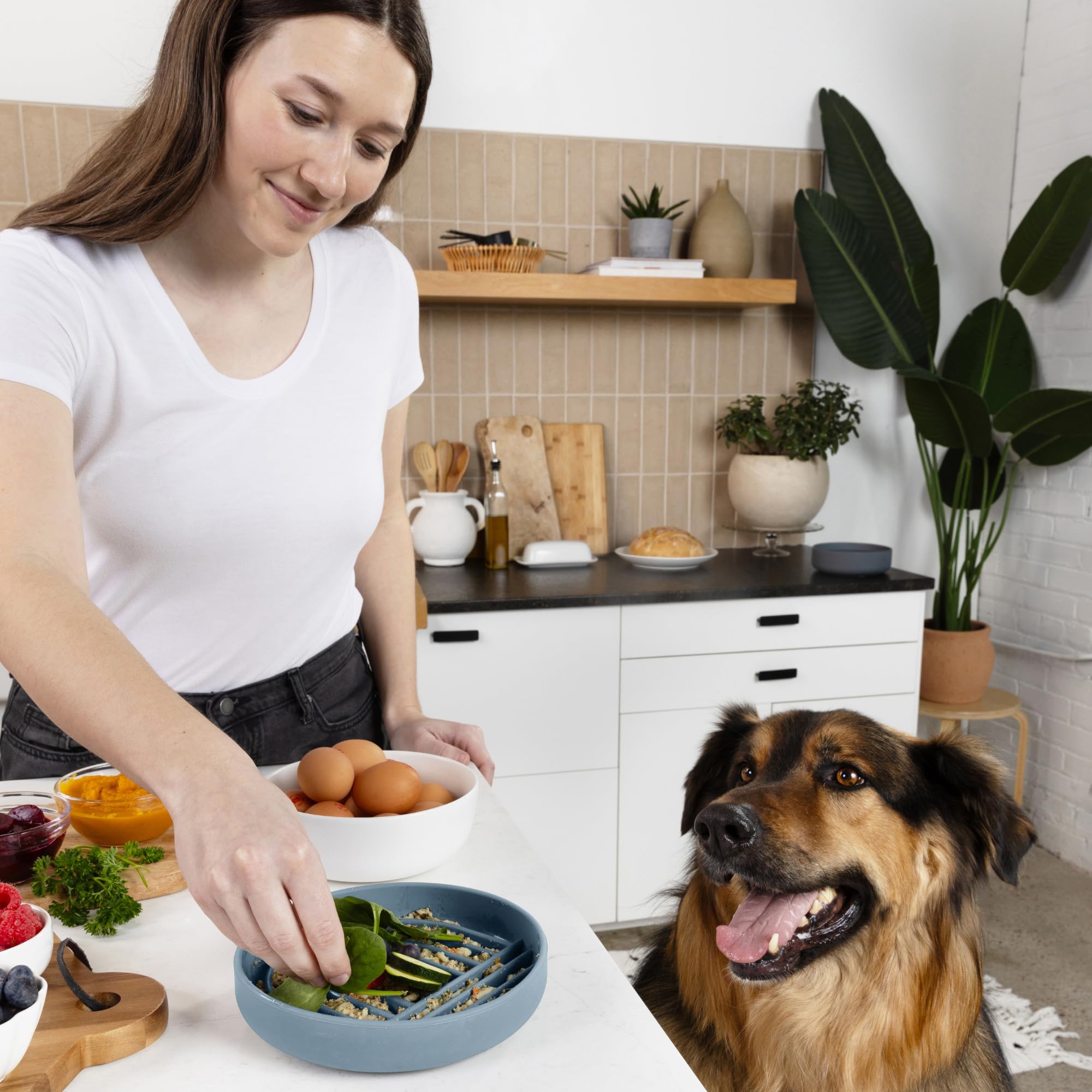 Should We Go? Slow Feeder Dog Bowls - Medium Size Silicone Slow Eating Dog Bowl for Puppies & Dogs with Suction Cup -Dishwasher-Safe, Lick Mat Design, Reduces Gulping,for All Breeds,7.5”x1.5”- Ocean