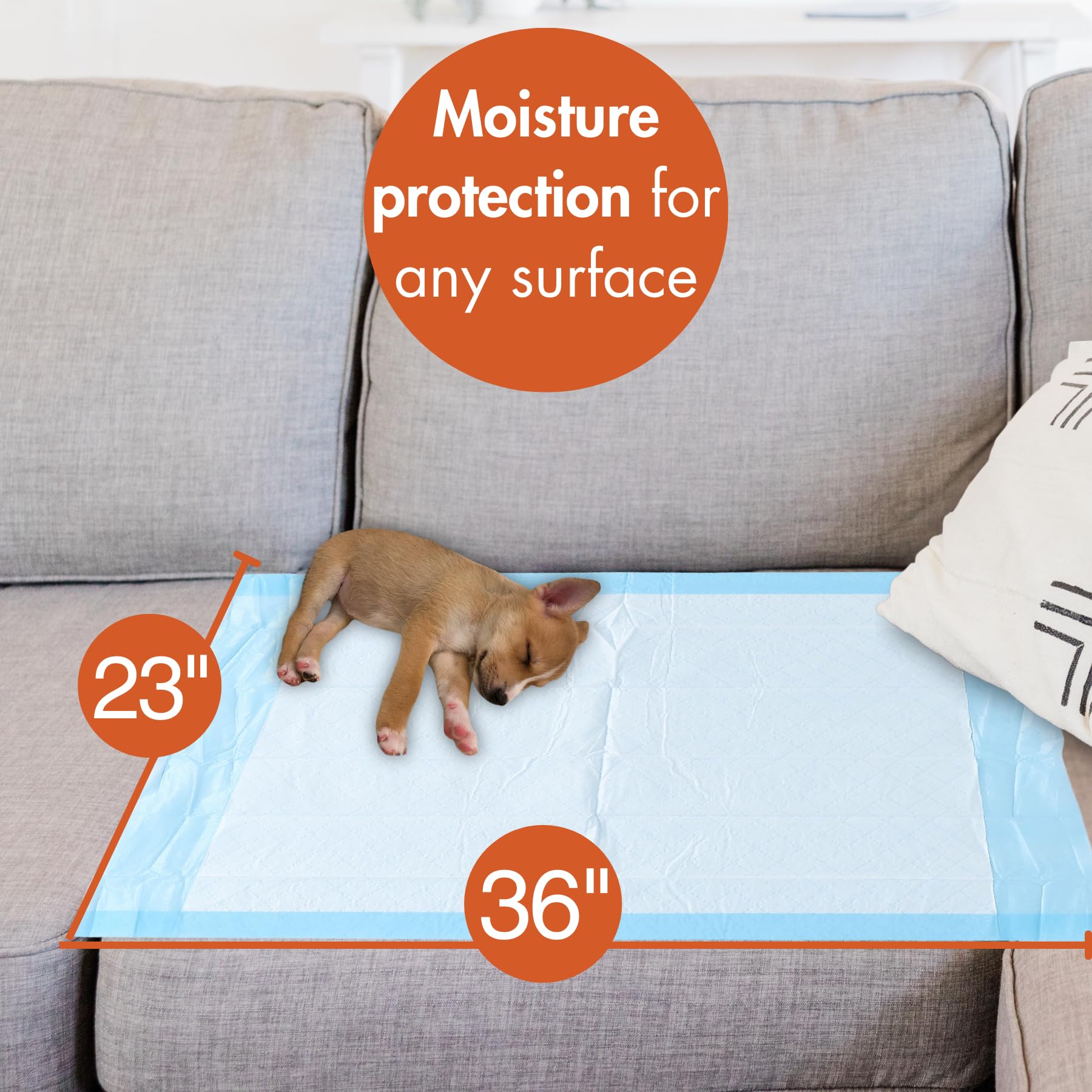 Caring Disposable Underpads 23 x 36 in, Moderate Absorbency Bed Pads, Chucks Pads, Puppy Pads, Baby Changing Pads, Incontinence Underpads for Adults, Pets, Babies, 50 Count Pack