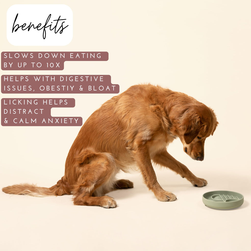 Should We Go? Slow Feeder Dog Bowls - Medium Size Silicone Slow Eating Dog Bowl for Puppies & Dogs with Suction Cup -Dishwasher-Safe, Lick Mat Design, Reduces Gulping,for All Breeds,7.5”x1.5”- Sage
