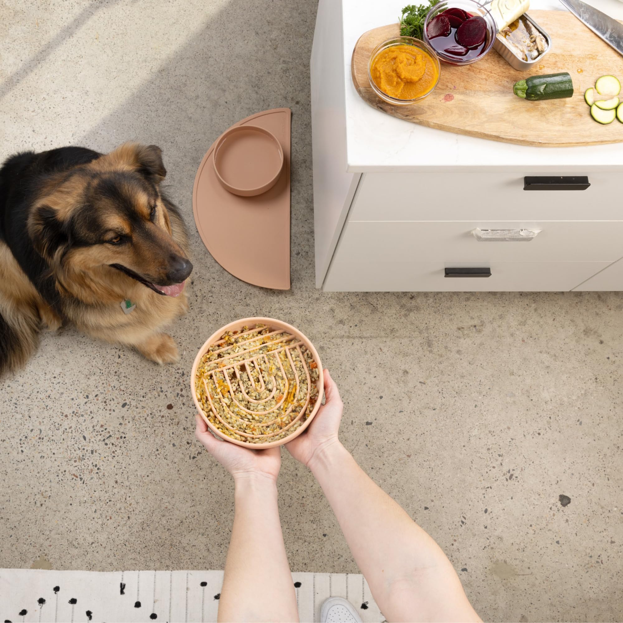 Should We Go? Slow Feeder Dog Bowls - Medium Size Silicone Slow Eating Dog Bowl for Puppies & Dogs with Suction Cup -Dishwasher-Safe, Lick Mat Design, Reduces Gulping,for All Breeds,7.5”x1.5”- Blush