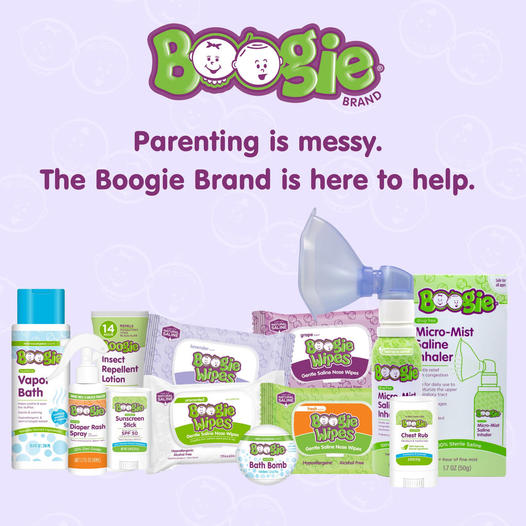 Boogie Wipes - Antibacterial Hand Wipes - 60 Count