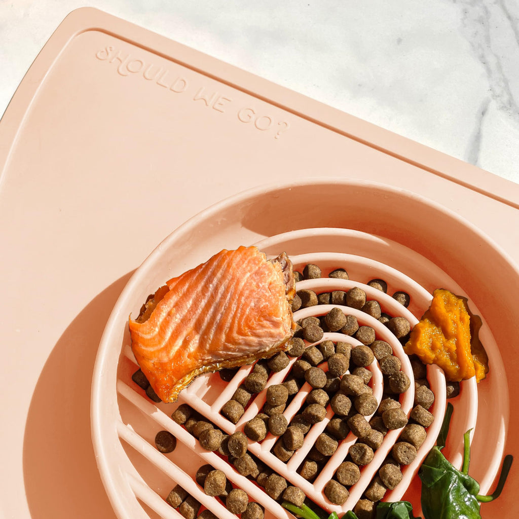 Should We Go? Slow Feeder Dog Bowls - Medium Size Silicone Slow Eating Dog Bowl for Puppies & Dogs with Suction Cup -Dishwasher-Safe, Lick Mat Design, Reduces Gulping,for All Breeds,7.5”x1.5”- Blush