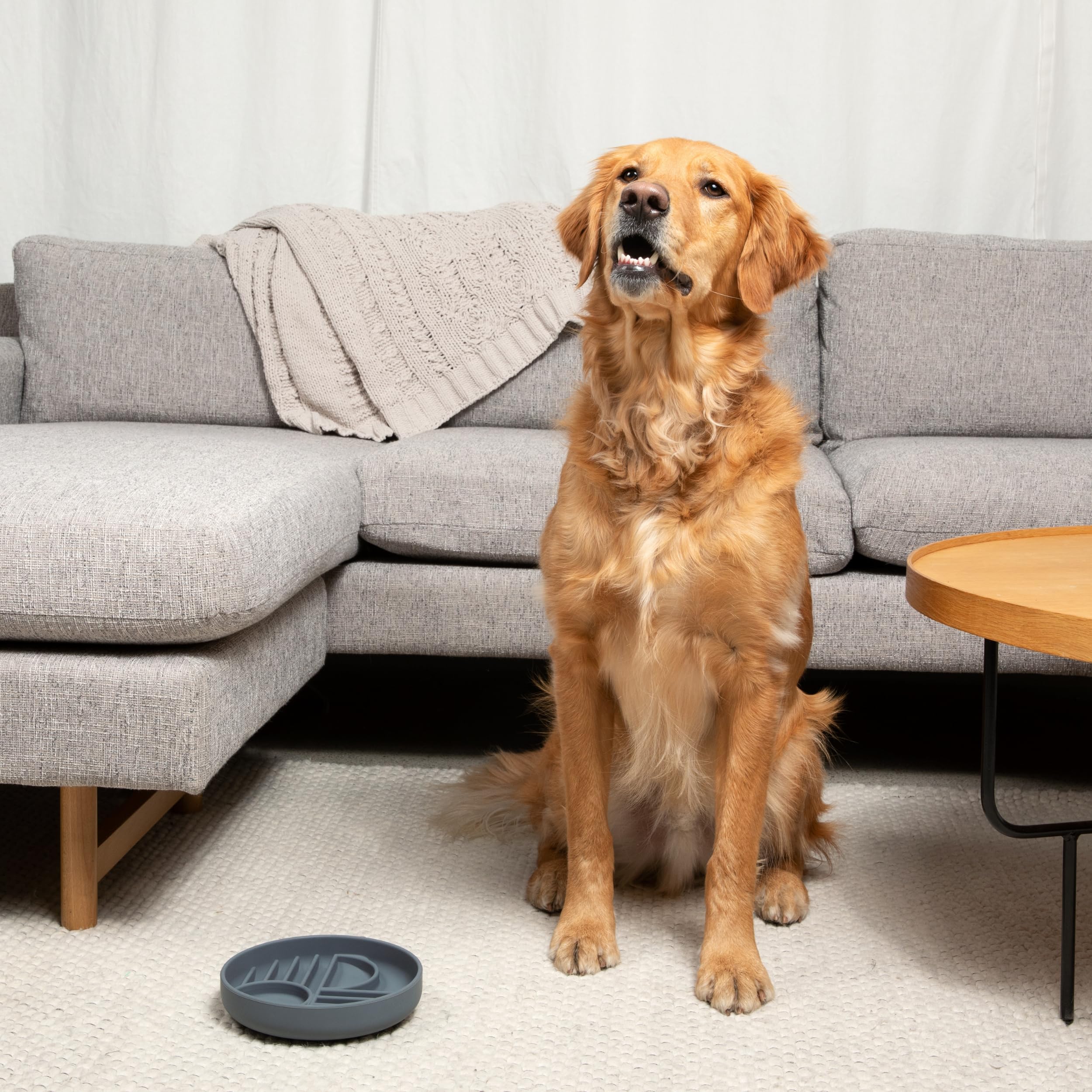 Should We Go? Slow Feeder Dog Bowls - Medium Size Silicone Slow Eating Dog Bowl for Puppies & Dogs with Suction Cup -Dishwasher-Safe, Lick Mat Design, Reduces Gulping,for All Breeds,7.5”x1.5”- Sage