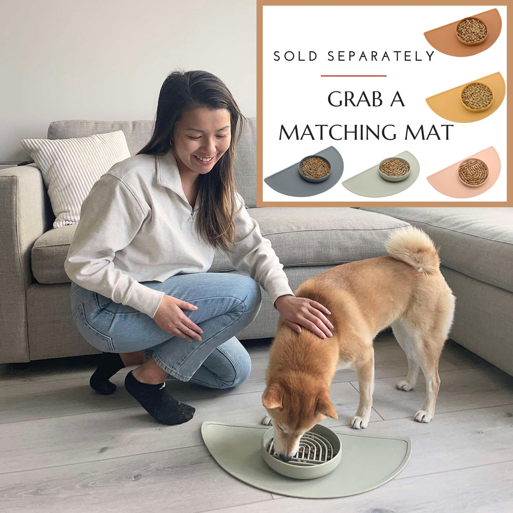 Should We Go? Slow Feeder Dog Bowls - Medium Size Silicone Slow Eating Dog Bowl for Puppies & Dogs with Suction Cup -Dishwasher-Safe, Lick Mat Design, Reduces Gulping,for All Breeds,7.5”x1.5”- Sage
