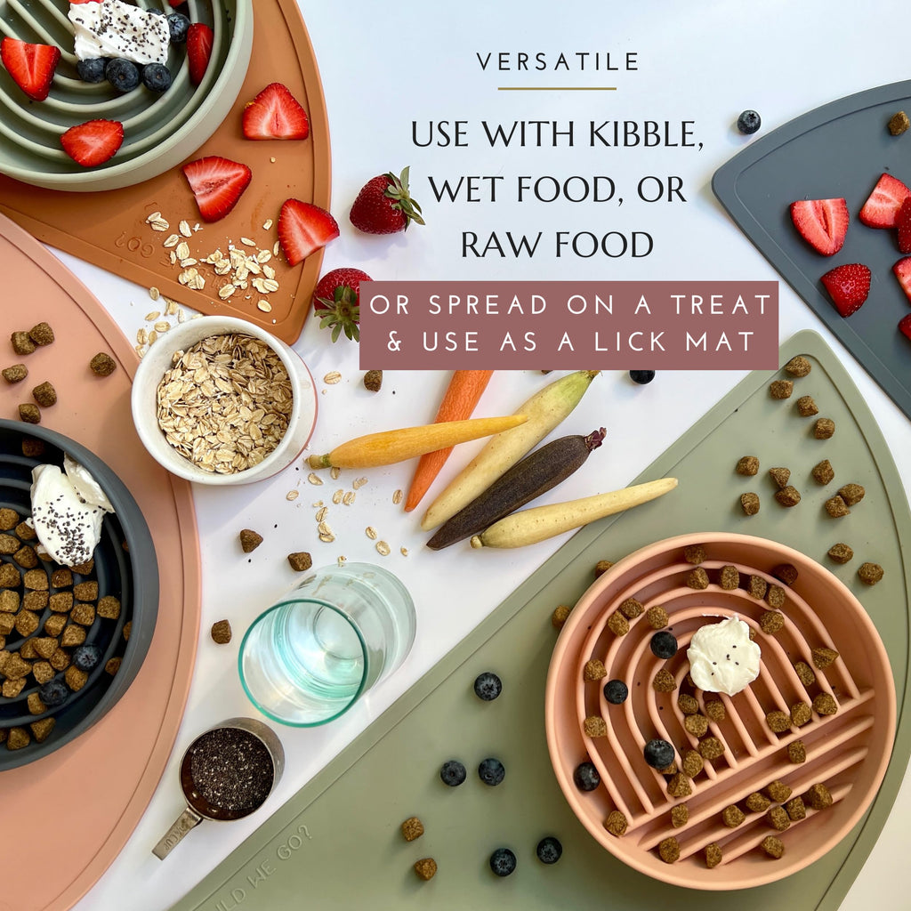 Should We Go? Slow Feeder Dog Bowls - Medium Size Silicone Slow Eating Dog Bowl for Puppies & Dogs with Suction Cup -Dishwasher-Safe, Lick Mat Design, Reduces Gulping,for All Breeds,7.5”x1.5”- Sage