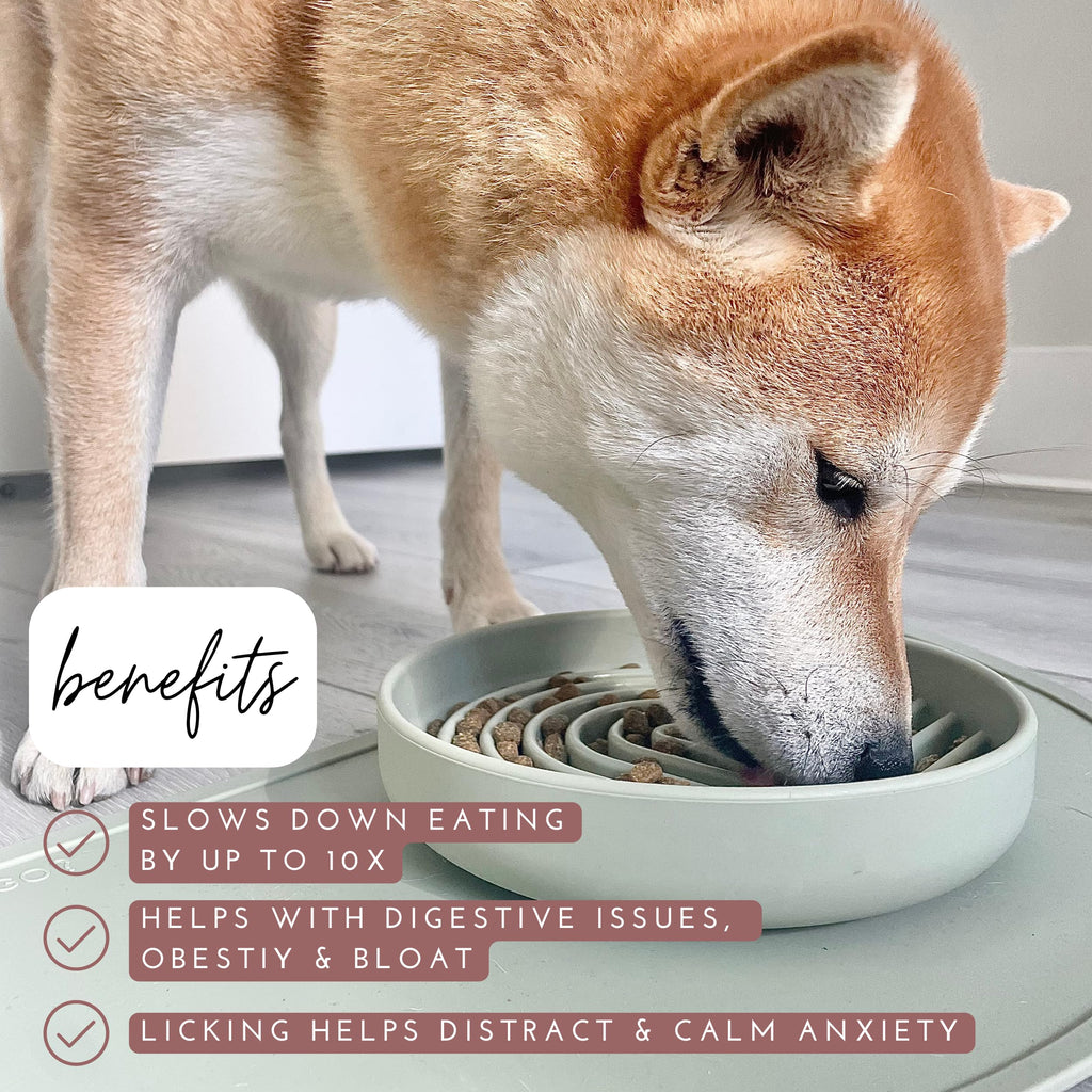 Should We Go? Slow Feeder Dog Bowls - Medium Size Silicone Slow Eating Dog Bowl for Puppies & Dogs with Suction Cup -Dishwasher-Safe, Lick Mat Design, Reduces Gulping,for All Breeds,7.5”x1.5”- Tan