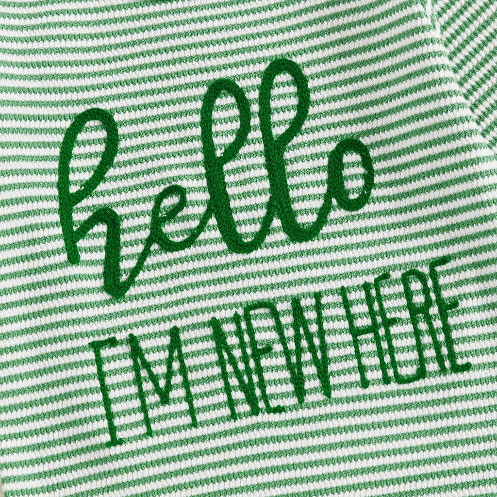 Fernvia Newborn Baby Boy Clothes Letters Print Bodysuit 3 6 9 12 18 Months Long Sleeve Jumpsuit with Hat 2PCS Outfits Set (D Green, 3-6 Months)