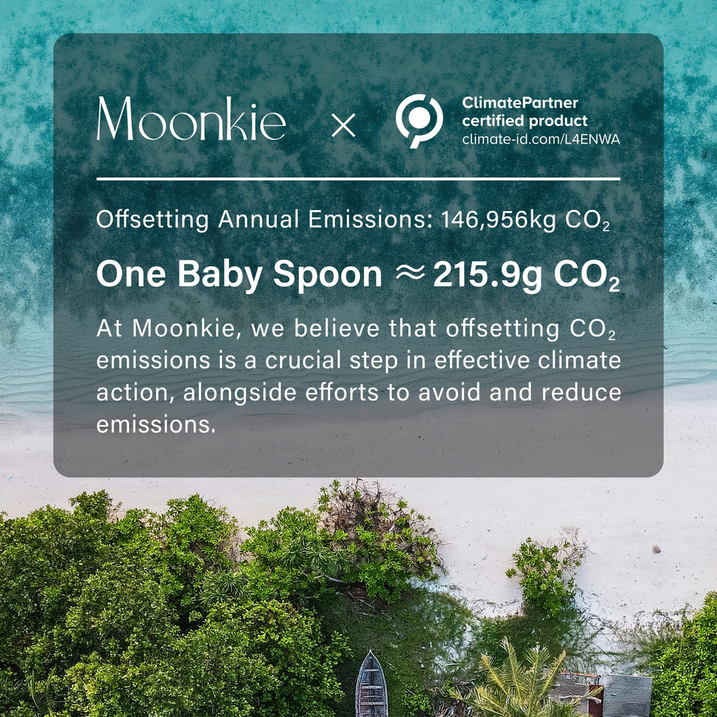Moonkie Silicone Baby Spoons Set of 4, Toddler Spoons for Self Feeding 6 Months, Two Sizes Feeding Spoons for First Stage 4+ Months, Infant, Baby Utensils with Case, Bendable, Chewproof & Boil-proof